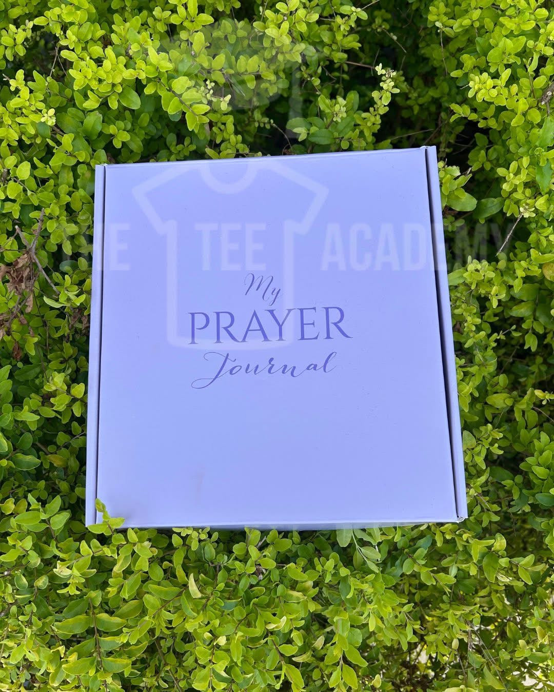 Prayer Journal
